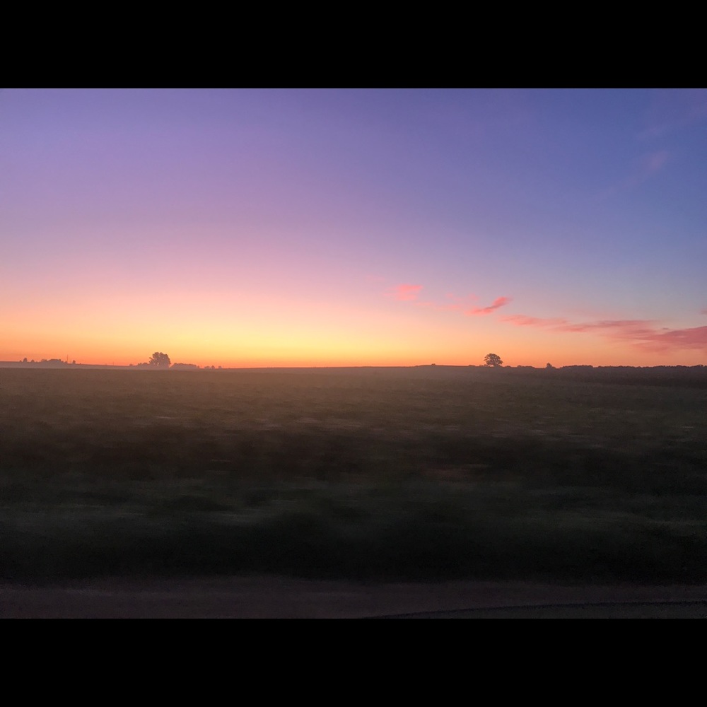 Meet your Posher, Shannon